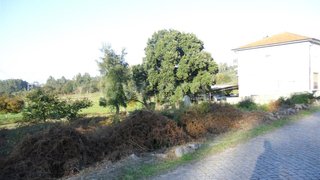 Land for sale in Santo Tirso, Portugal — €70,000