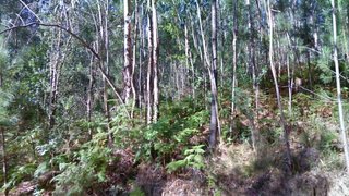 Land for sale in Albergaria-a-Velha, Portugal — €20,000
