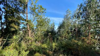 Land for sale in Gondomar, Portugal — €160,000