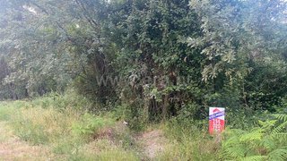 Land for sale in Marco de Canaveses, Portugal — €87,500