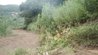 Land for sale in Amarante, Portugal — €45,000