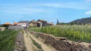 Land for sale in Albergaria-a-Velha, Portugal — €55,000