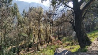 Land for sale in Baião, Portugal — €14,500