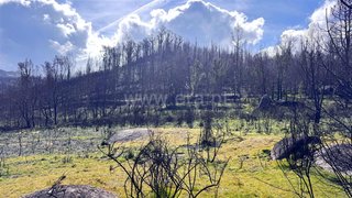 Land for sale in Marco de Canaveses, Portugal — €49,990