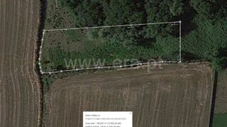 Land for sale in Estarreja, Portugal
