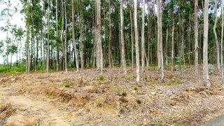 Land for sale in Albergaria-a-Velha, Portugal — €5,000