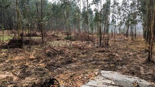 Land for sale in Albergaria-a-Velha, Portugal — €90,000