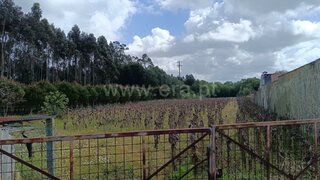 Land for sale in Ovar, Portugal — €67,500