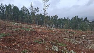 Land for sale in Vale de Cambra, Portugal — €195,000