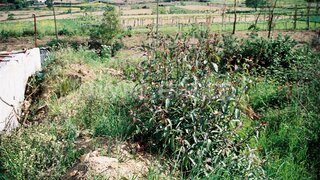 Land for sale in Santo Tirso, Portugal — €143,000