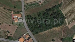 Land for sale in Anadia, Portugal — €42,000