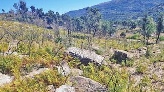 Land for sale in Marco de Canaveses, Portugal — €25,000