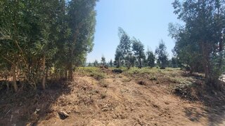 Land for sale in Estarreja, Portugal — €160,000