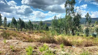 Land for sale in Paredes, Portugal — €115,000