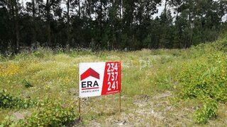 Land for sale in Oliveira do Bairro, Portugal — €484,000