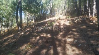 Land for sale in Marco de Canaveses, Portugal — €43,000