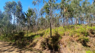 Land for sale in Sever do Vouga, Portugal — €270,000
