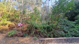 Land for sale in Amarante, Portugal — €7,000