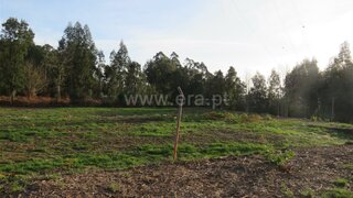Land for sale in Oliveira de Azeméis, Portugal — €155,000