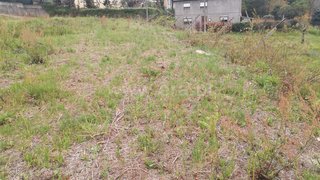 Land for sale in Oliveira de Azeméis, Portugal — €84,000