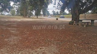 Land for sale in Albergaria-a-Velha, Portugal