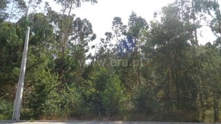 Land for sale in Oliveira de Azeméis, Portugal — €280,000