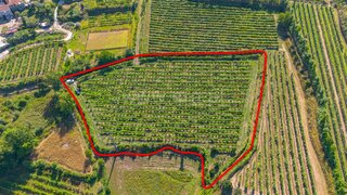 Land for sale in Felgueiras, Portugal — €60,000