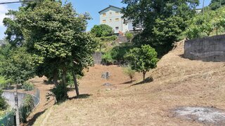 Terreno em Vale de Cambra