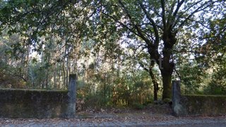 Land for sale in Santo Tirso, Portugal — €70,000