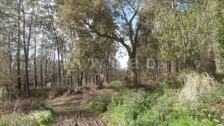 Land for sale in Santa Maria da Feira, Portugal — €30,000