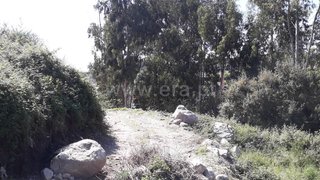 Land for sale in Santo Tirso, Portugal — €29,000