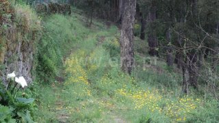 Land for sale in Marco de Canaveses, Portugal — €49,000