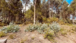 Land for sale in Paredes, Portugal — €255,000