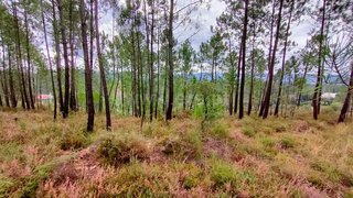 Land for sale in Gondomar, Portugal — €35,000