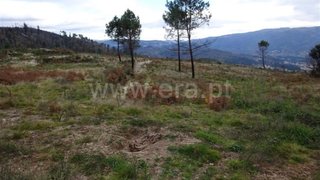 Land for sale in Amarante, Portugal — €21,000