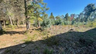 Land for sale in Albergaria-a-Velha, Portugal — €35,000