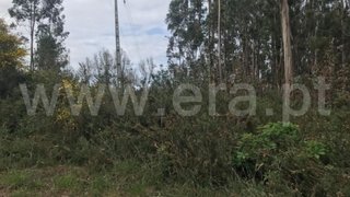 Land for sale in Trofa, Portugal — €78,000