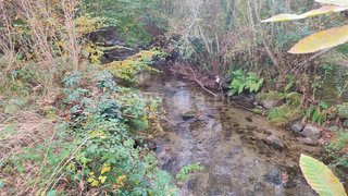 Land for sale in Baião, Portugal — €27,500