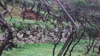 Land for sale in Baião, Portugal — €10,000