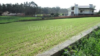 Land for sale in Oliveira de Azeméis, Portugal — €217,000