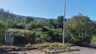 Land for sale in Oliveira de Azeméis, Portugal — €23,940