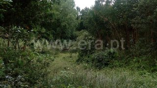 Land for sale in Mafra, Portugal — €49,900
