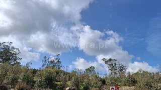 Land for sale in Lourinhã, Portugal — €60,000