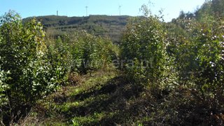 Land for sale in Mafra, Portugal — €13,000