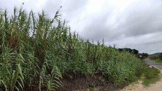 Land for sale in Azambuja, Portugal — €14,000