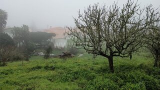 Land for sale in Mafra, Portugal — €435,000