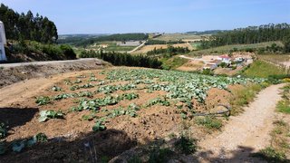 Land for sale in Torres Vedras, Portugal — €65,000