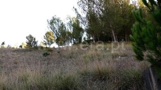 Land for sale in Cadaval, Portugal — €19,500
