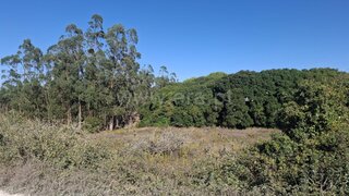 Land for sale in Lourinhã, Portugal — €19,000