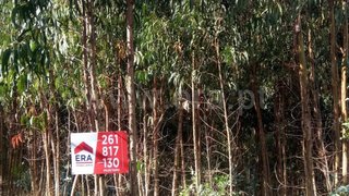 Terreno em Mafra